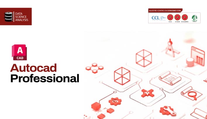 Autocad Professional