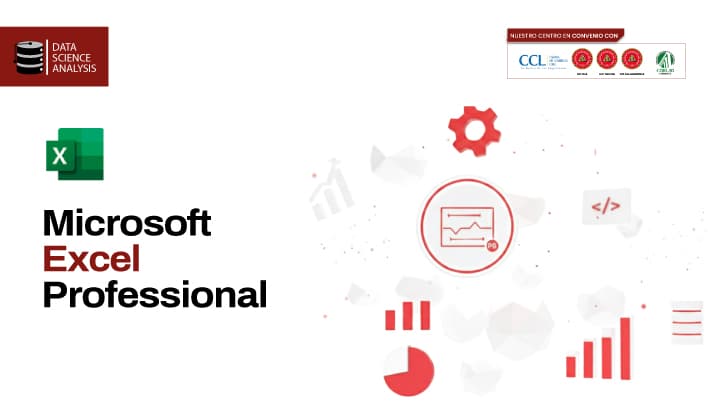 Microsoft Excel Professional