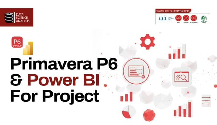 Primavera P6 & Power BI for Project